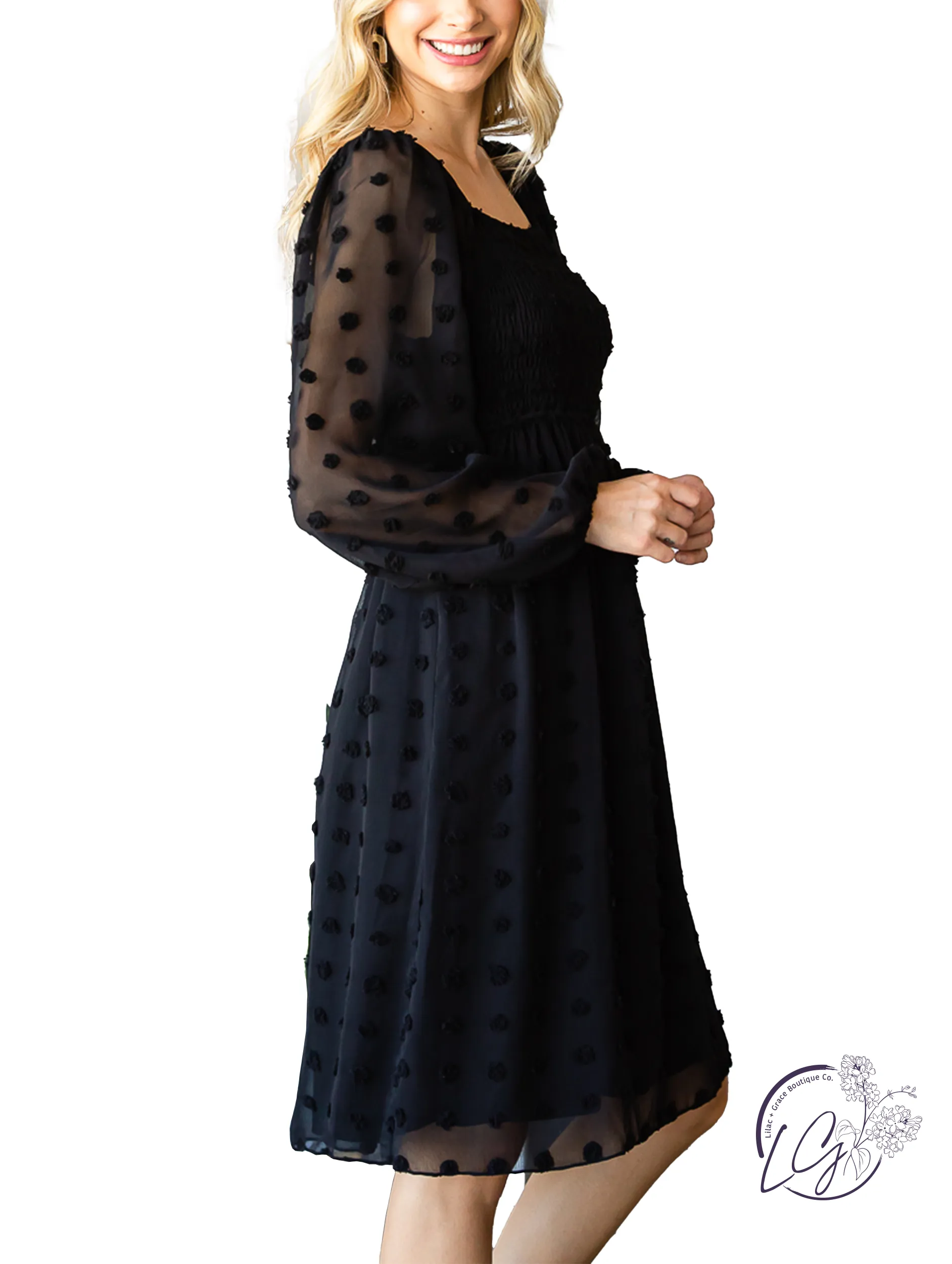 Alpine Breeze Swiss Dot Chiffon Dress