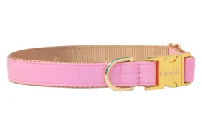 Carnation Pink Dog Collar