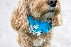 Decorative Silver and Blue Snowflake Christmas Dog Frill