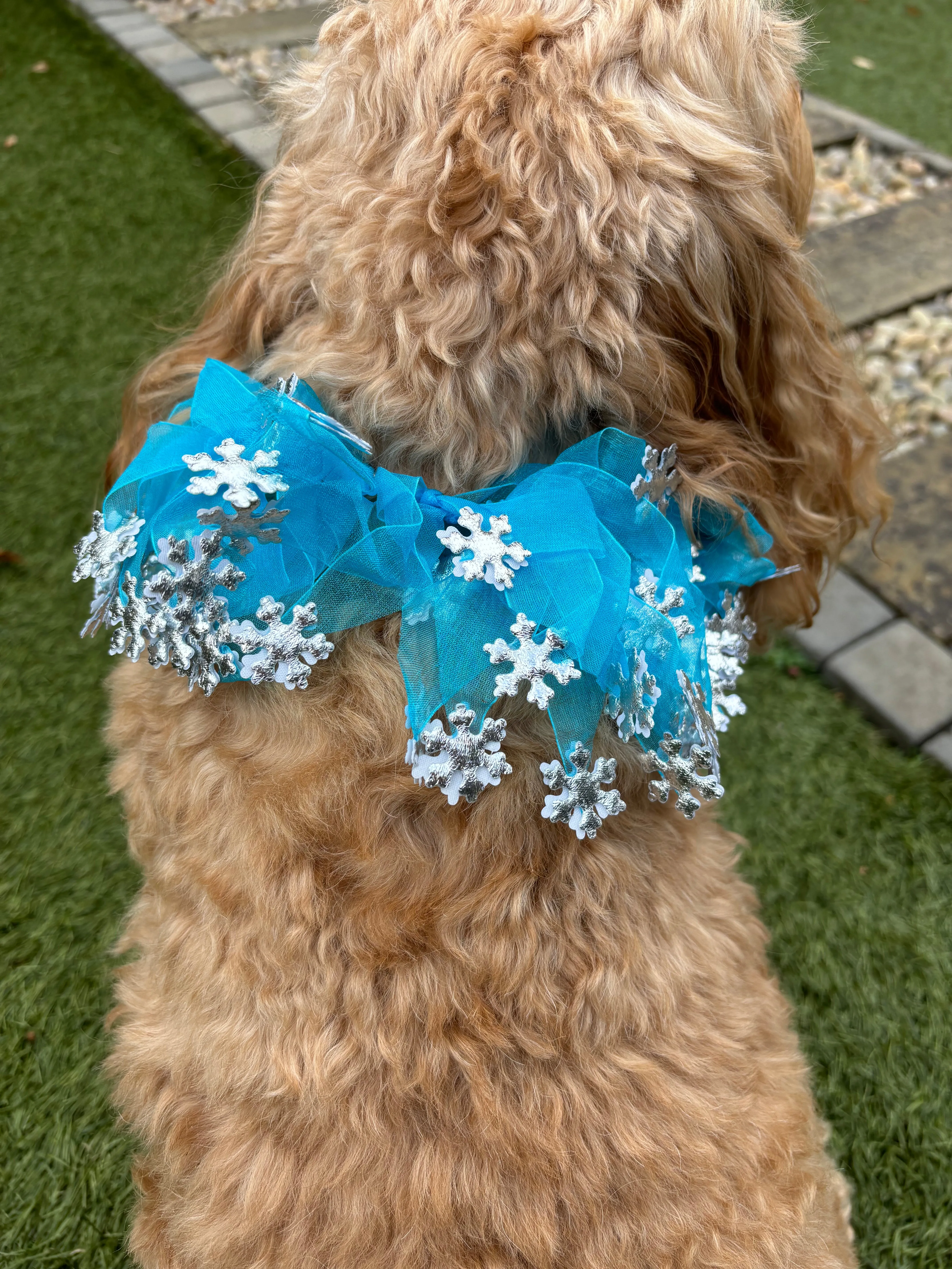 Decorative Silver and Blue Snowflake Christmas Dog Frill