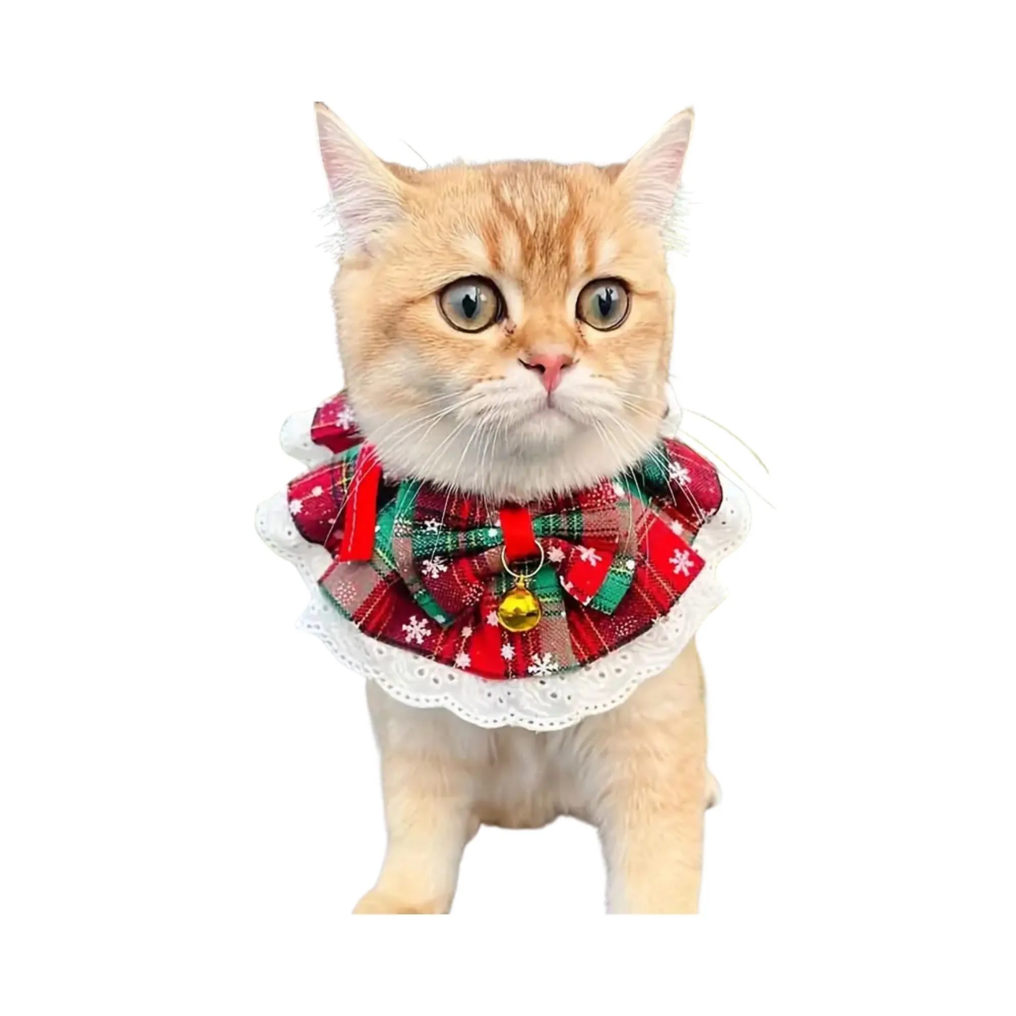 Festive Cat Collar With Santa - Small