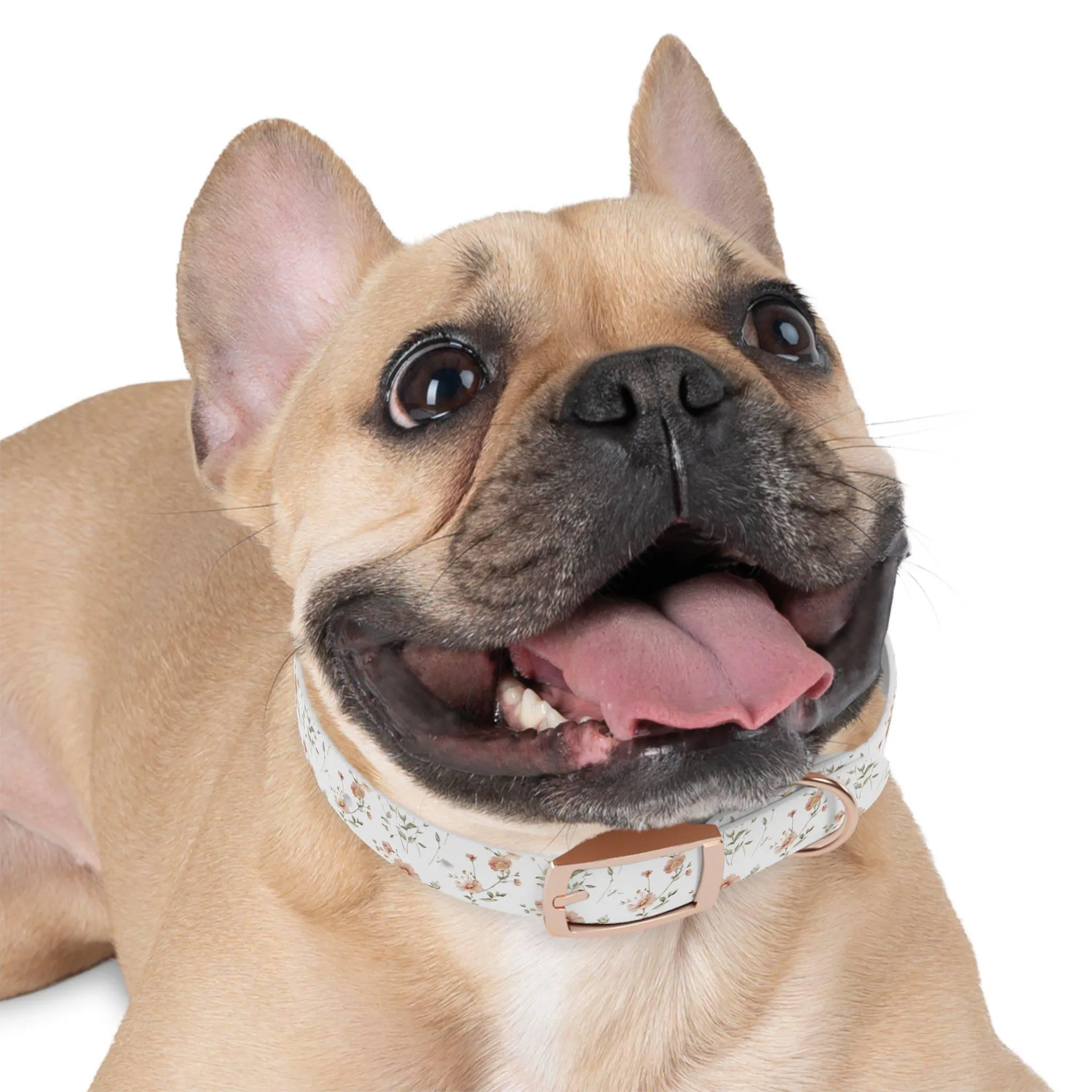 Floral Dog Collar | Stylish & Durable Pet Accessory