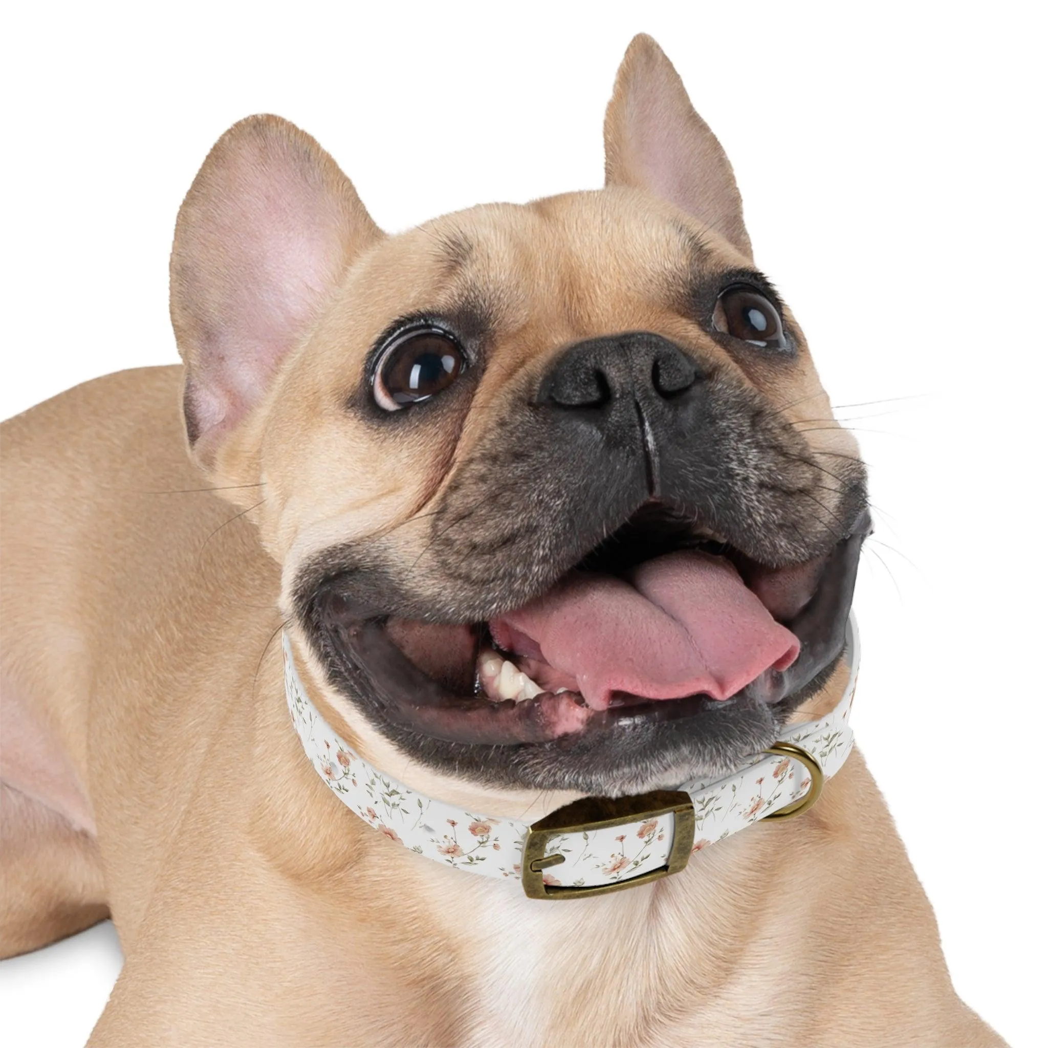 Floral Dog Collar | Stylish & Durable Pet Accessory