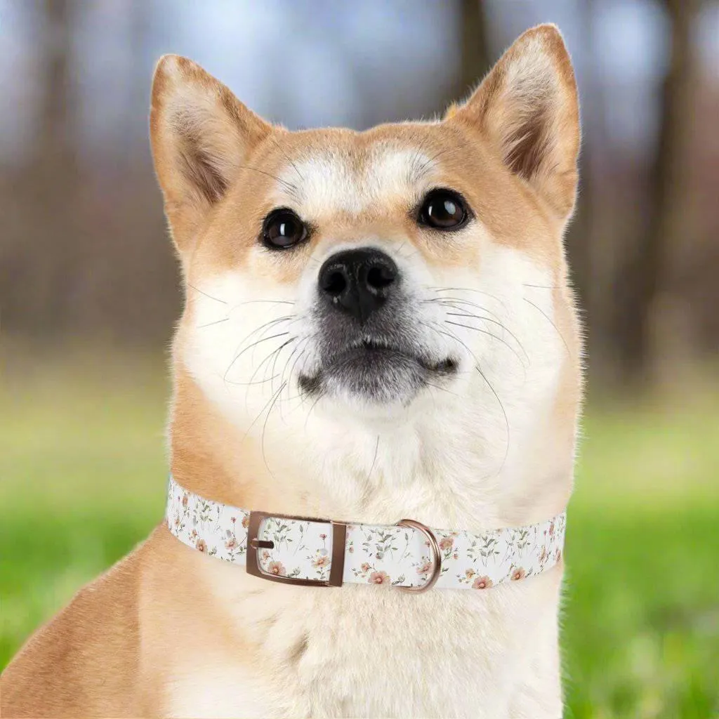 Floral Dog Collar | Stylish & Durable Pet Accessory