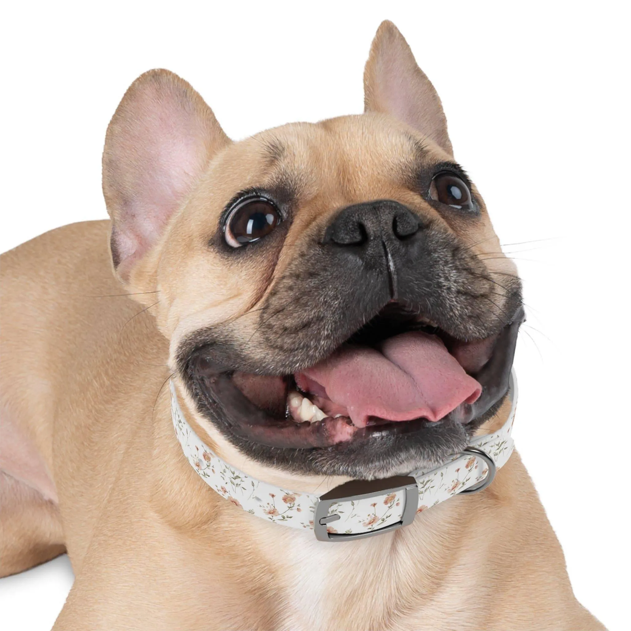 Floral Dog Collar | Stylish & Durable Pet Accessory