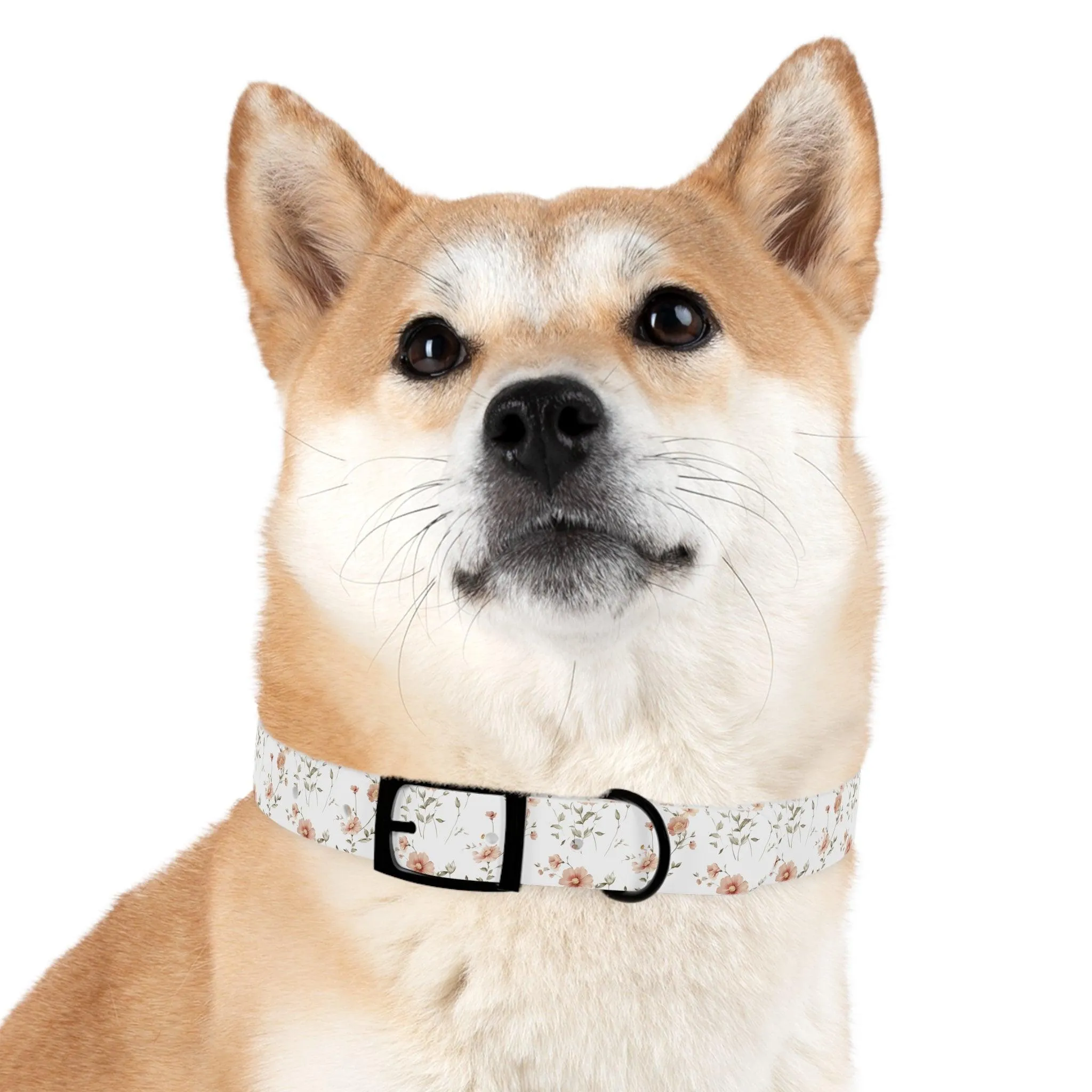 Floral Dog Collar | Stylish & Durable Pet Accessory