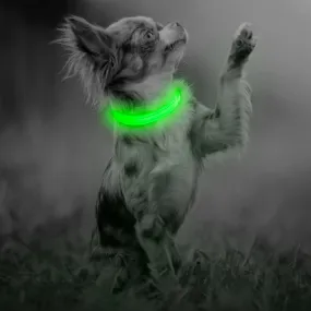 LED Dog Collar for Small Dogs and Cats