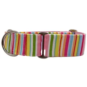 Martingale Collar - Pastel Paradise