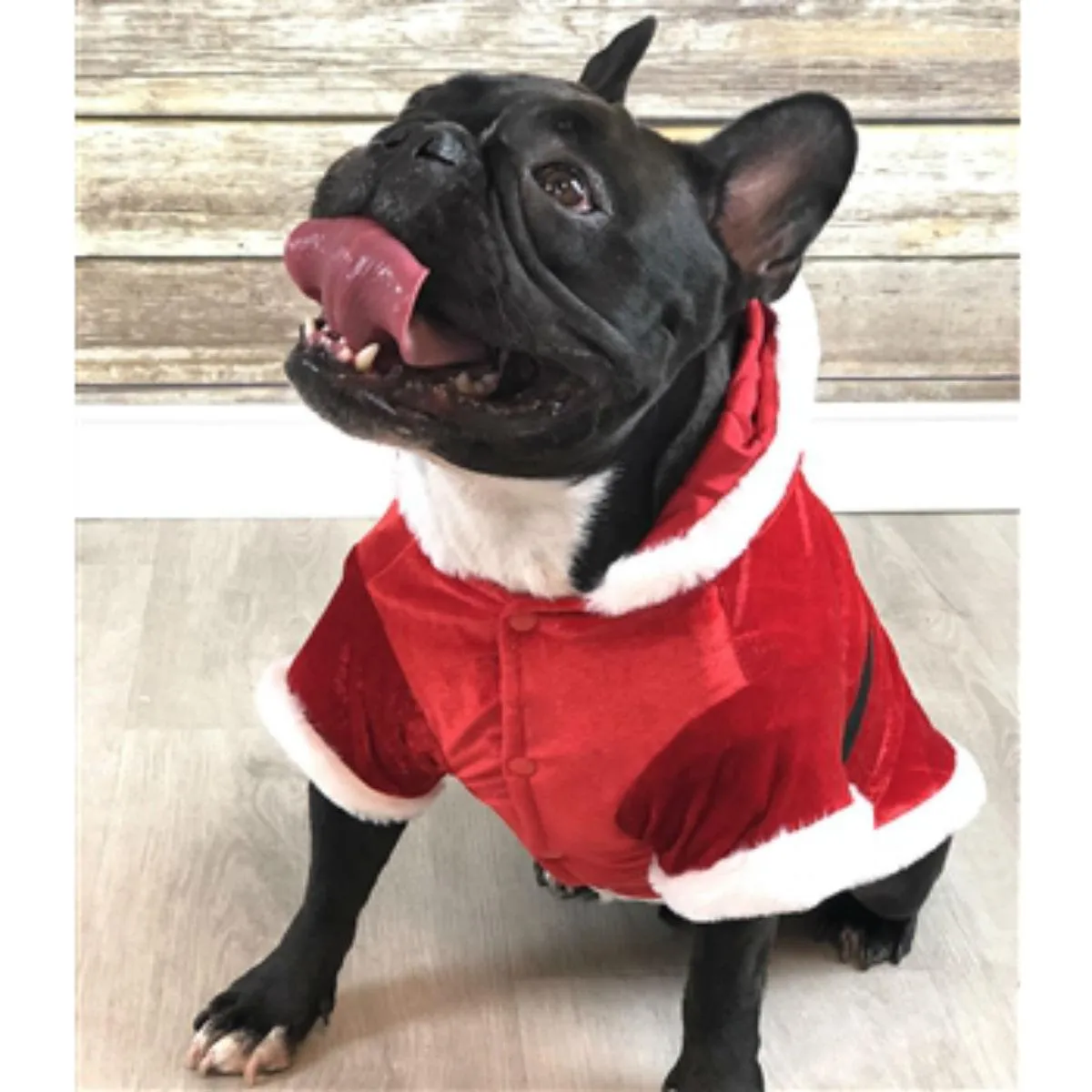 Parisian Pet Santa Claus Winter Dog Hoodie