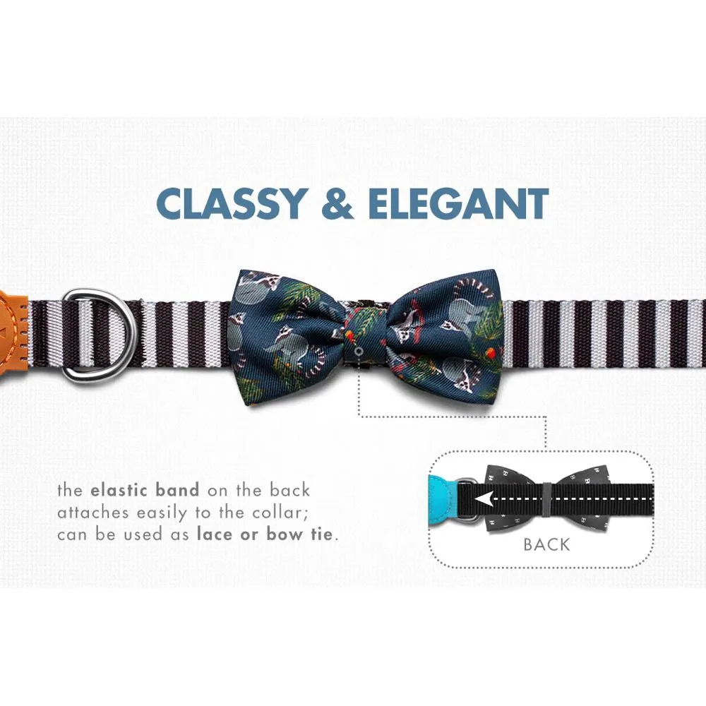 Zee.Dog Mango Bow Tie